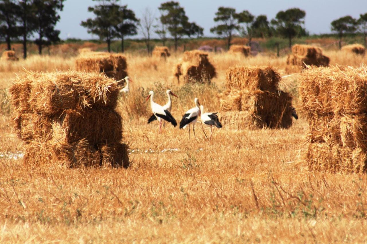 Herdade dos Salgados do Fialho FAO Exterior foto