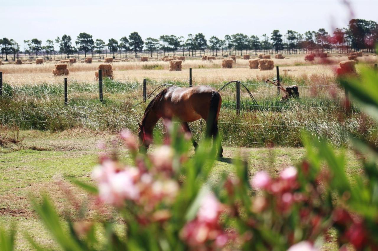 Herdade dos Salgados do Fialho FAO Exterior foto