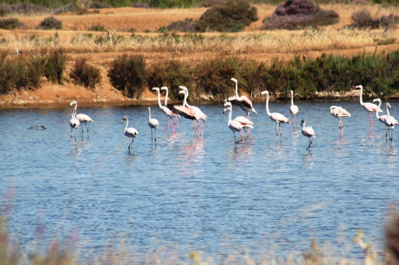 Herdade dos Salgados do Fialho FAO Exterior foto