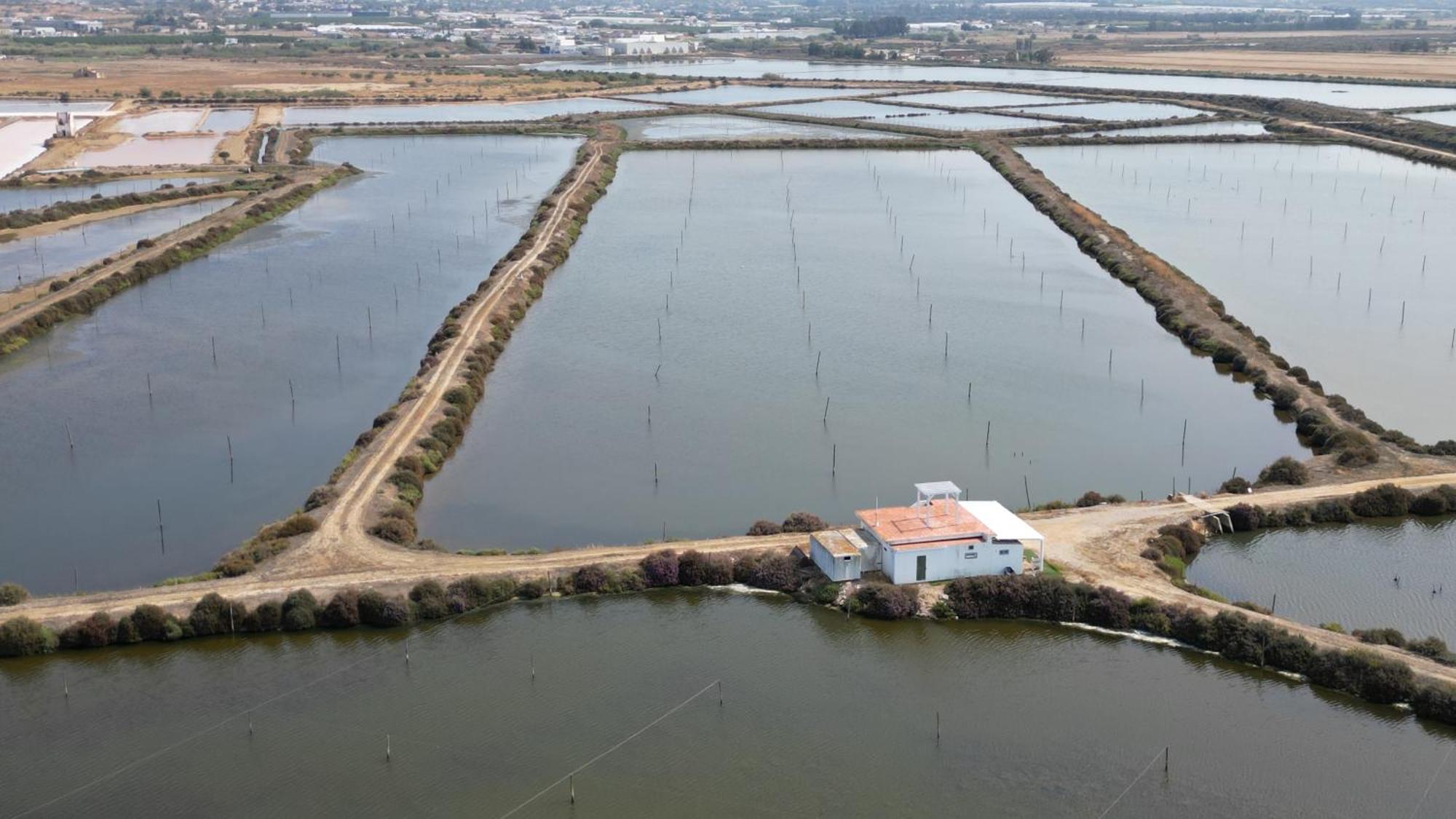 Herdade dos Salgados do Fialho FAO Exterior foto