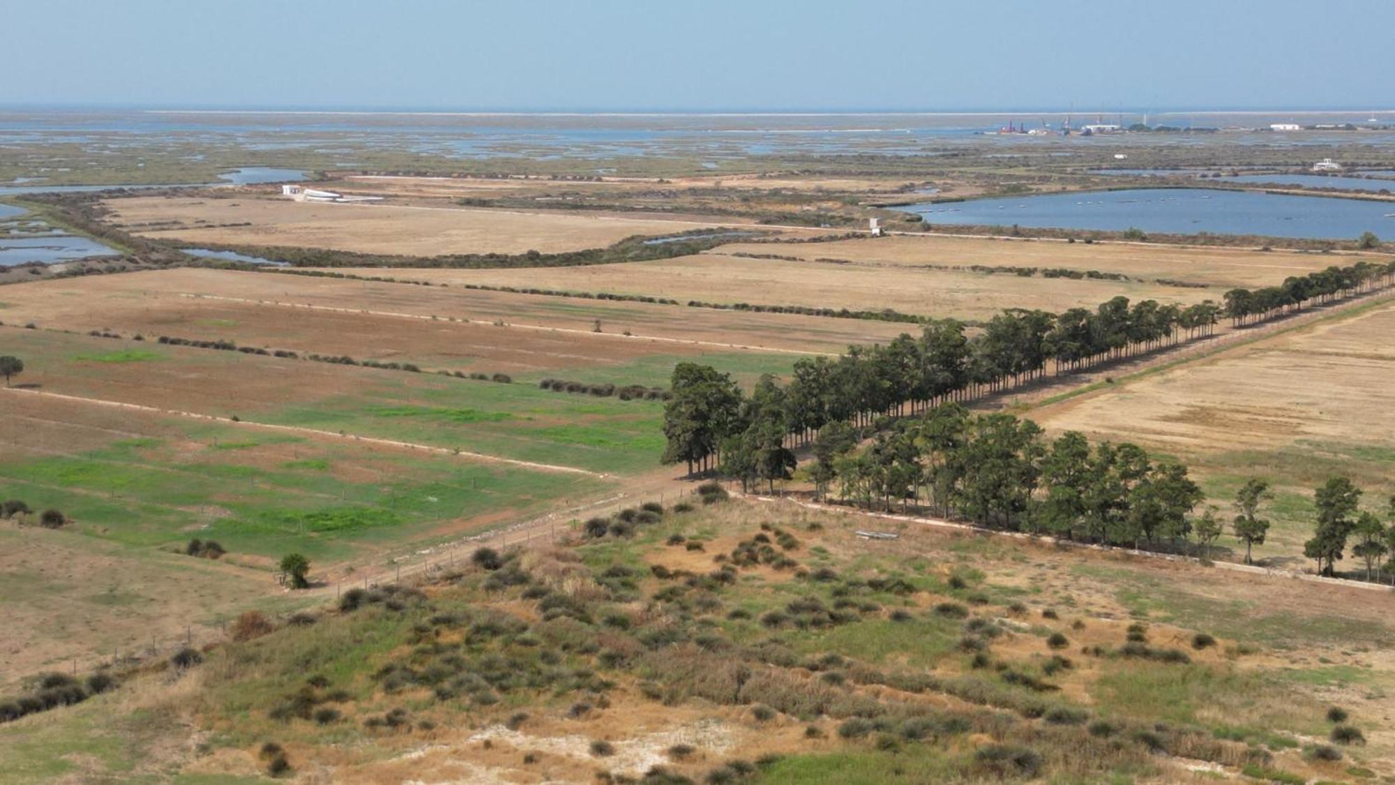Herdade dos Salgados do Fialho FAO Exterior foto