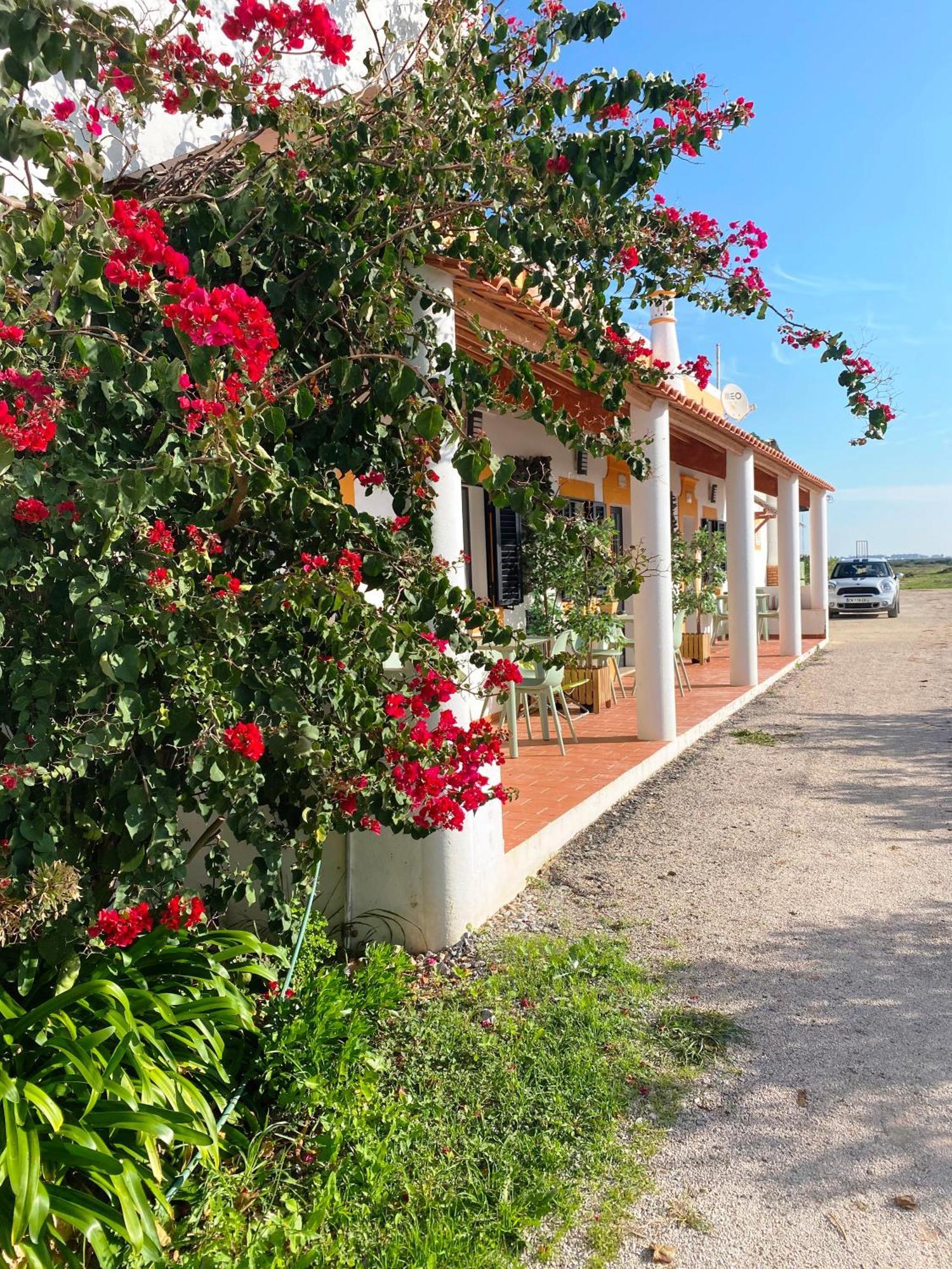 Herdade dos Salgados do Fialho FAO Exterior foto